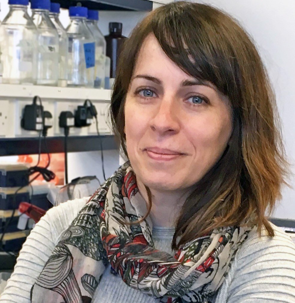 Cancer cell communications - Q&A with Dr Susana Godinho