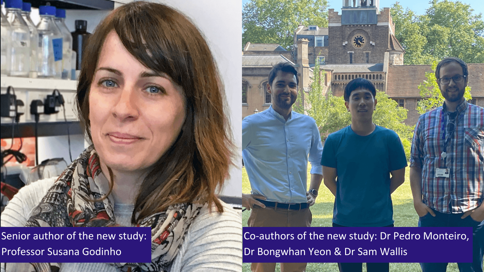 Authors of the new study. Left: Senior Author Professor Susana Godinho. Right: co-authors Dr Pedro Monteiro, Dr Bongwhan Yeon and Dr Sam Wallis, members of Professor Godinho’s group