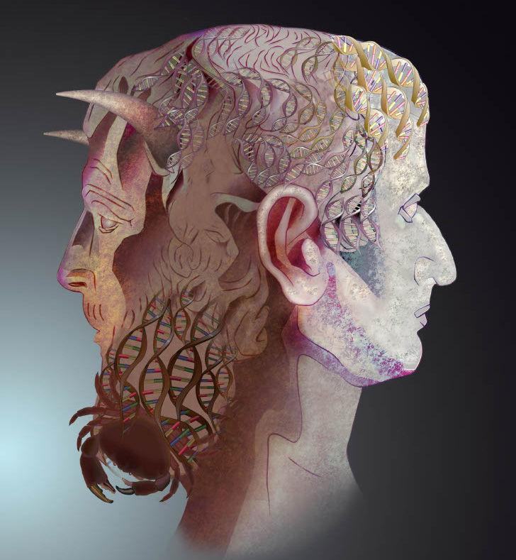 The researchers liken the dual role of this gene to Janus, Roman God of transitions, who has two faces. Artwork by Joe Brock, Francis Crick Institute.